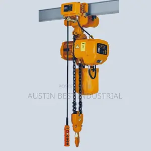 Electric Chain Hoist 1000kg/1ton
