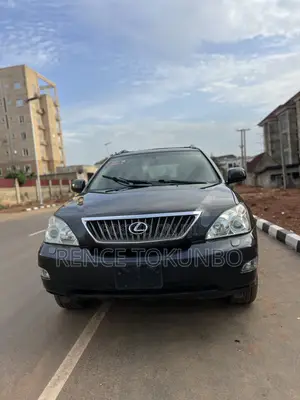 Lexus RX 2008 Gray