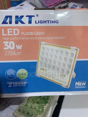30watt High Quality Akt Flood Light