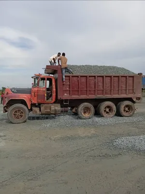 Solid Chippings and Granite