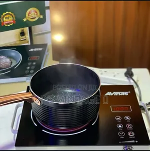 Avinas Electric Cooker