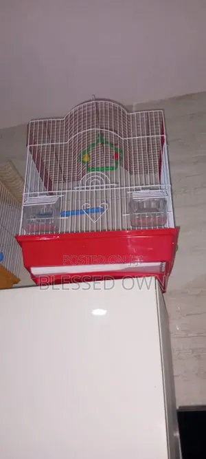 Parrot Cages Are Available