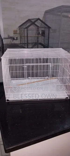 Beautiful Parrots Cage Available in All Sizes and Colours