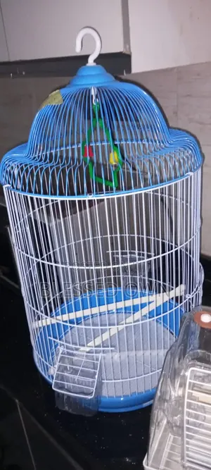 Parrots Cages for Sale