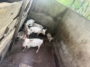 Weaners (3months+)