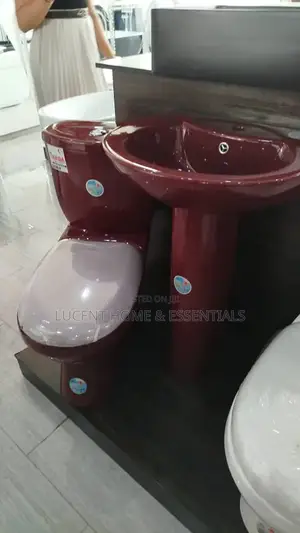 Luxury Wine Red Toilet Seat Wash Hand Basin