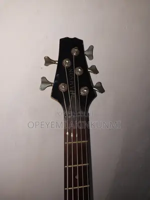 Hamson Bass Guitar