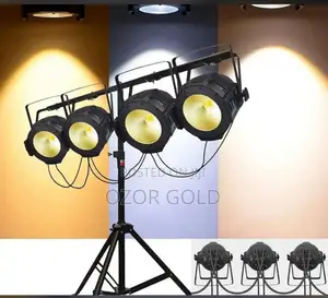 Cob 100w Par Light