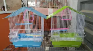 Bird Cages