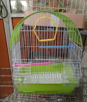 Bird Cages