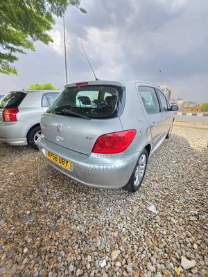 Peugeot 307 2006 Silver