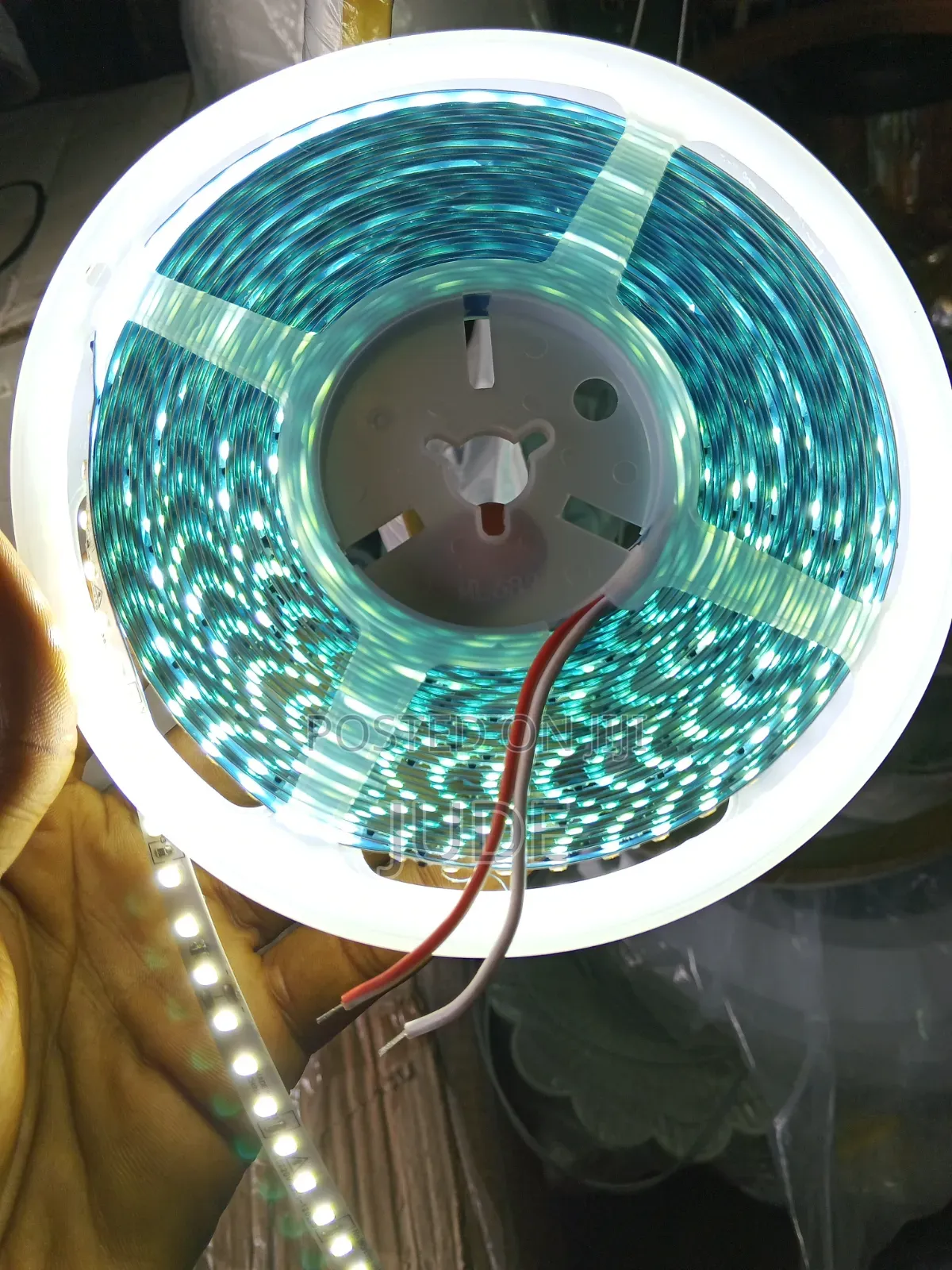Profile Light
