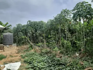 1.3 Plots of Dry Land Available for Sale at Akala Village