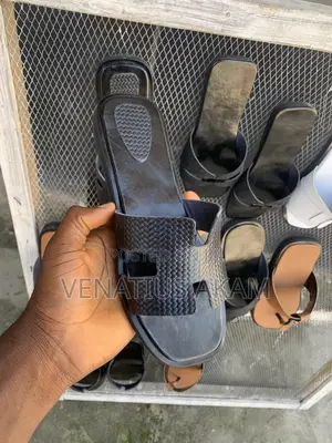 Very Affordable Quality Palms