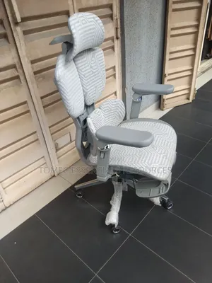 Imported Quality Executive Ergonomic Fabric Chair
