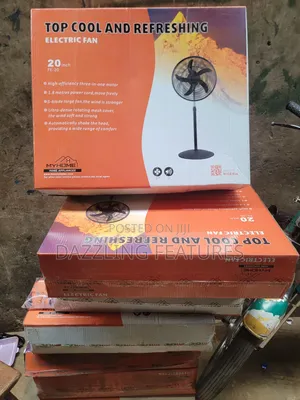 Standing Fan 20"