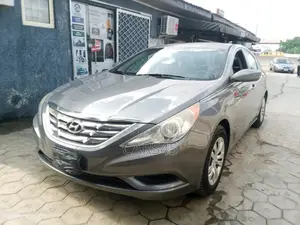 Hyundai Sonata 2011 Gray