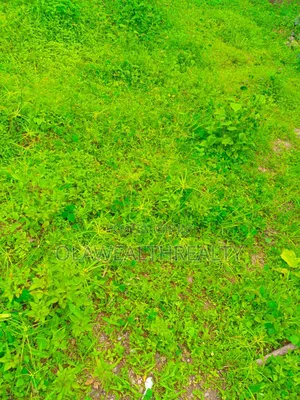 1.76hectares School Land at Kaura