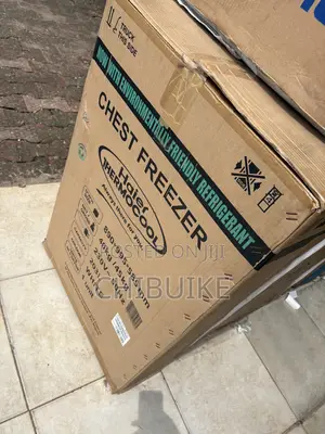 200l Haier Thermocouple