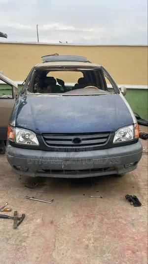 Siennn 98 Windscreen