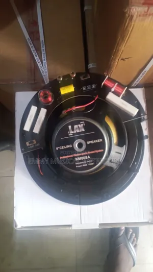 Passive Ceiling Speaker