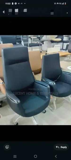 Luxury Executive Office Chair Set