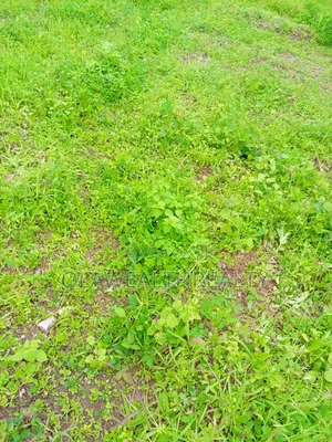3,600sqm Commercial Land at Katampe Main