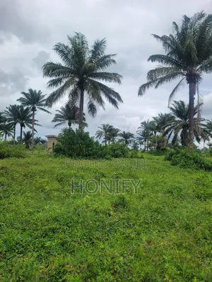 Land for Sale at Ado Odo