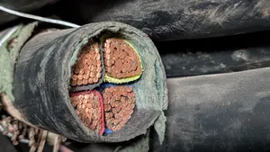 4core Armored Cable 300