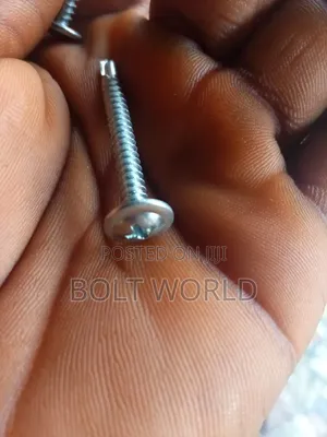 Self Drilling Screw4. 2x50mm