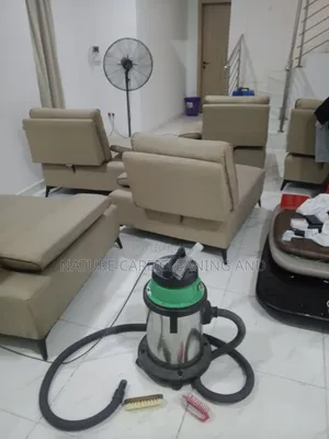 Professional Couch Sofa Cleaning