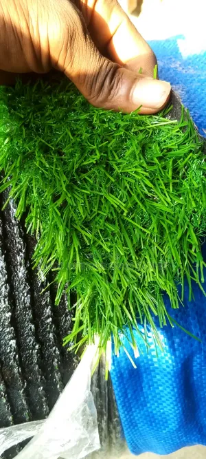 Artificial Quality Grass
