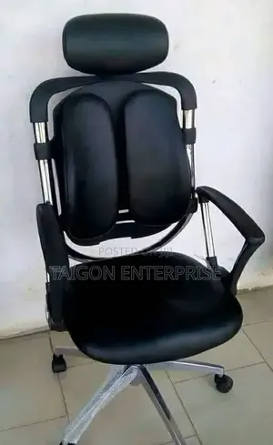 Executive Kidney Office Chair