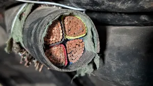 Armored Cable 4core