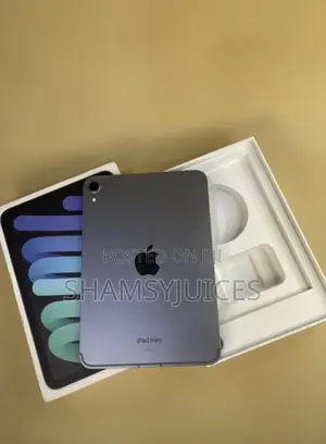 Apple iPad mini 7 512 GB Gray
