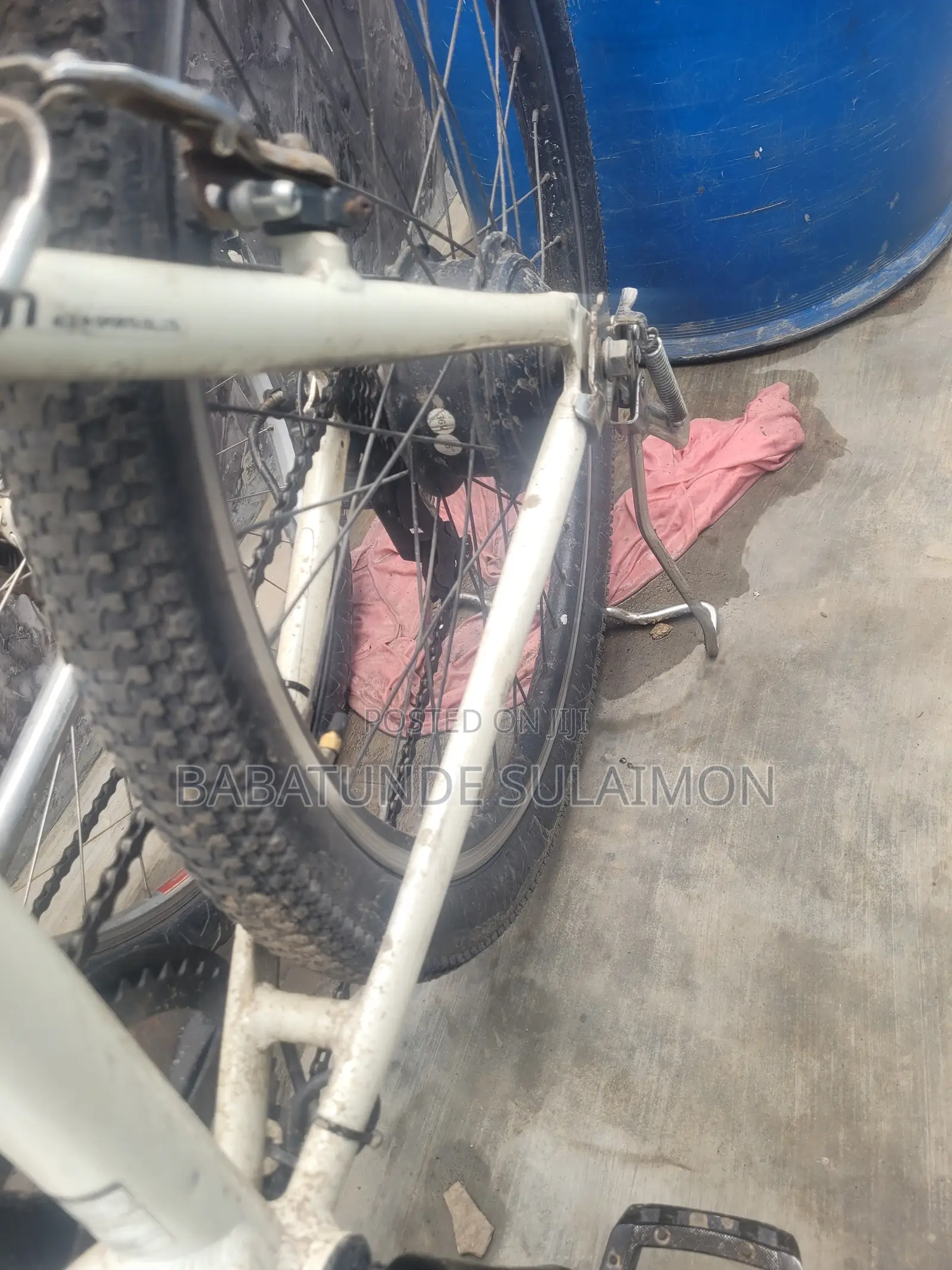 Evo 2025 Electric Bike
