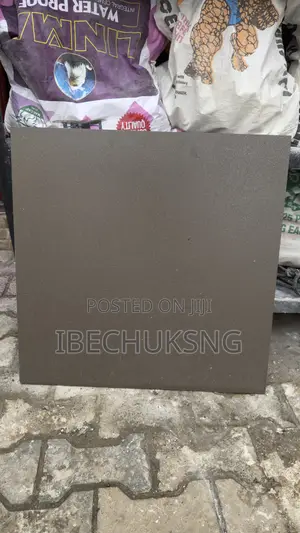 60x60 Goodwill Porcelain Tiles