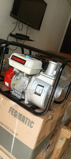 3" Inch Gasoline Water Pump (Fegmatic)