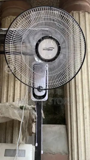Windpia 16 Inch Wall-mounted Fan Wf-6000r