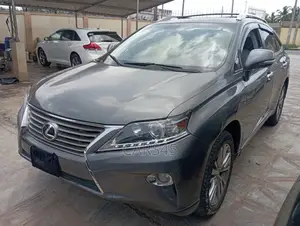 Lexus RX 2013 Gray