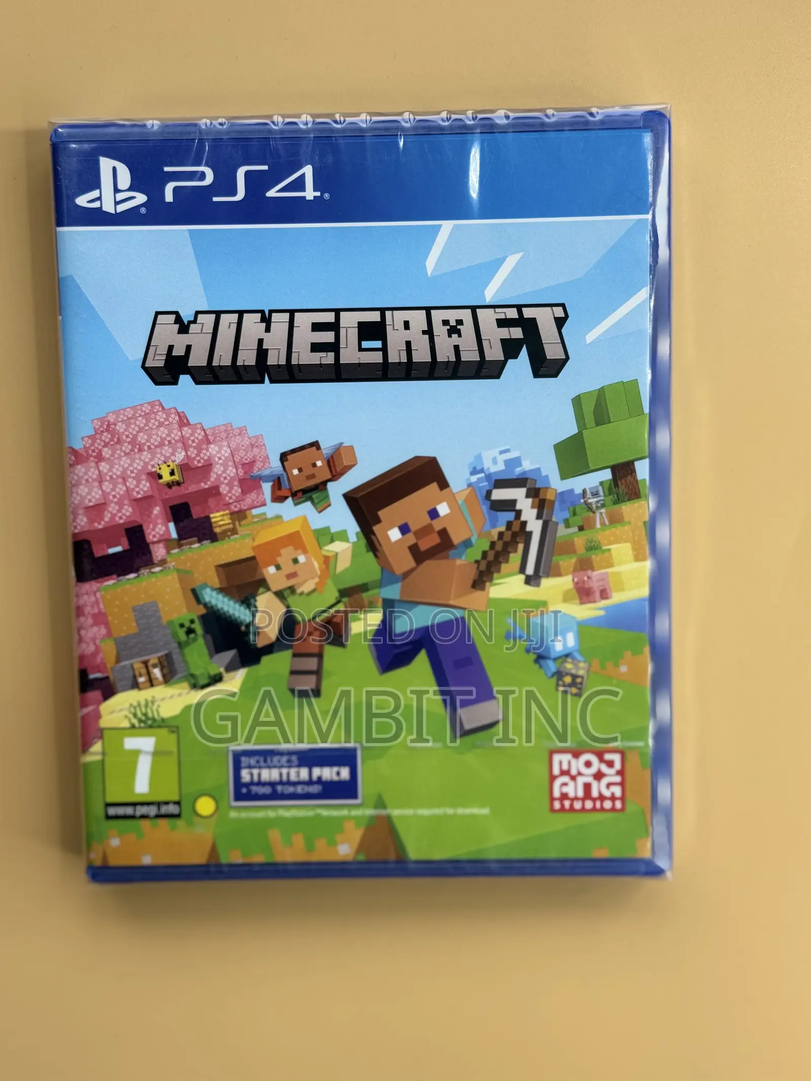Playstation 4 Minecraft