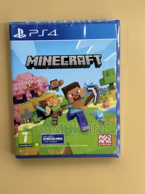 Playstation 4 Minecraft