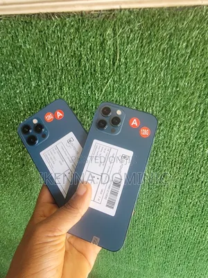 Apple iPhone 12 Pro Max 128 GB Blue