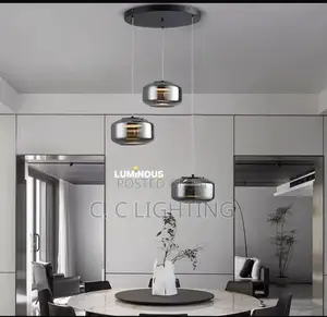 Luxury Nordic Drop Chandelier Light