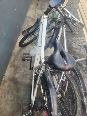 Evo 2025 Electric Bike