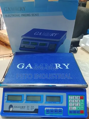 Electronic Pricing Scale