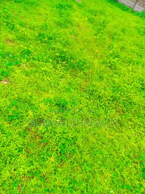 1,862sqm Residential Plot At Jabi