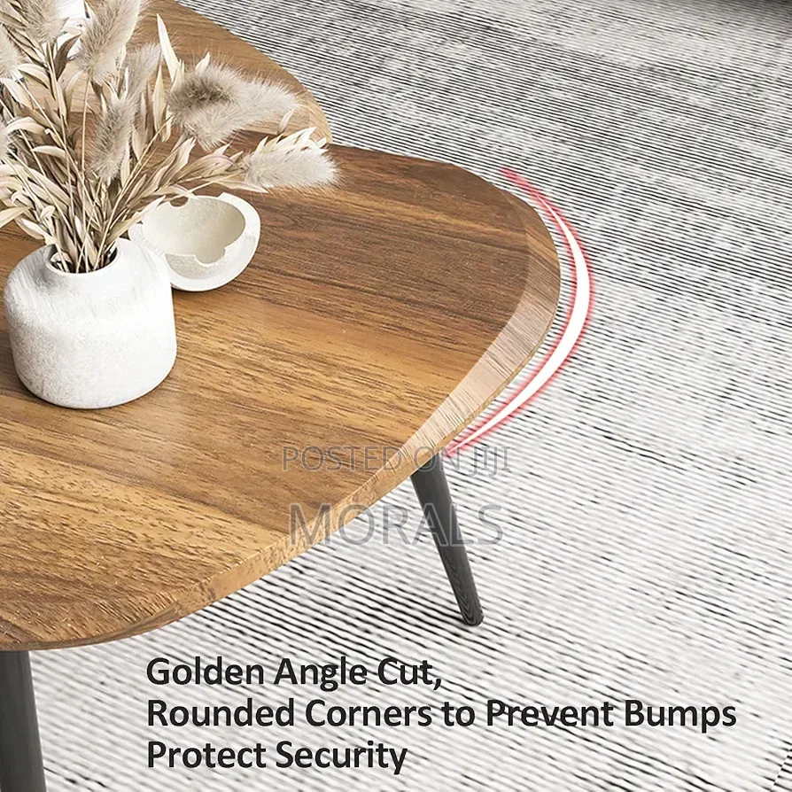 2pcs Coffee Table