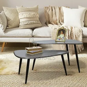 2pcs Coffee Table