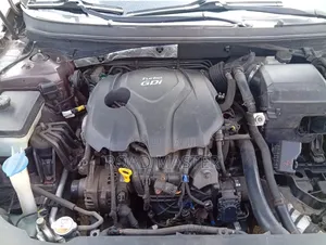 Hyundai Sonata 2015 Brown